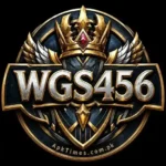 WGS456 apk
